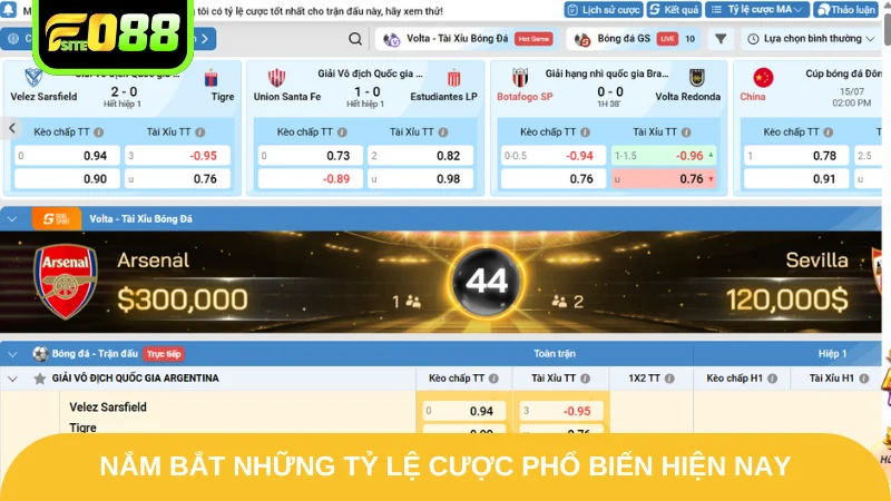 Nắm bắt những tỷ lệ cược phổ biến hiện nay